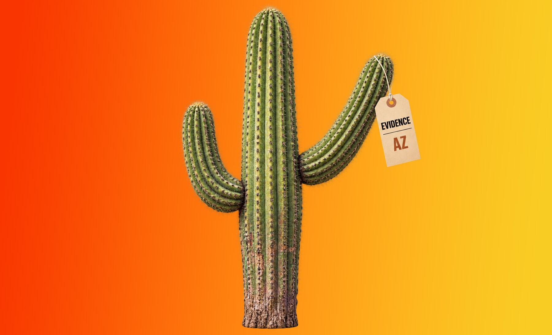 Arizona legal humor illustration: a cactus holding an evidence tag